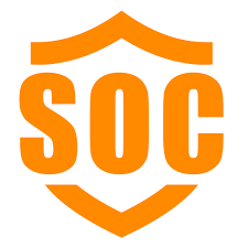Co-Managed SOC